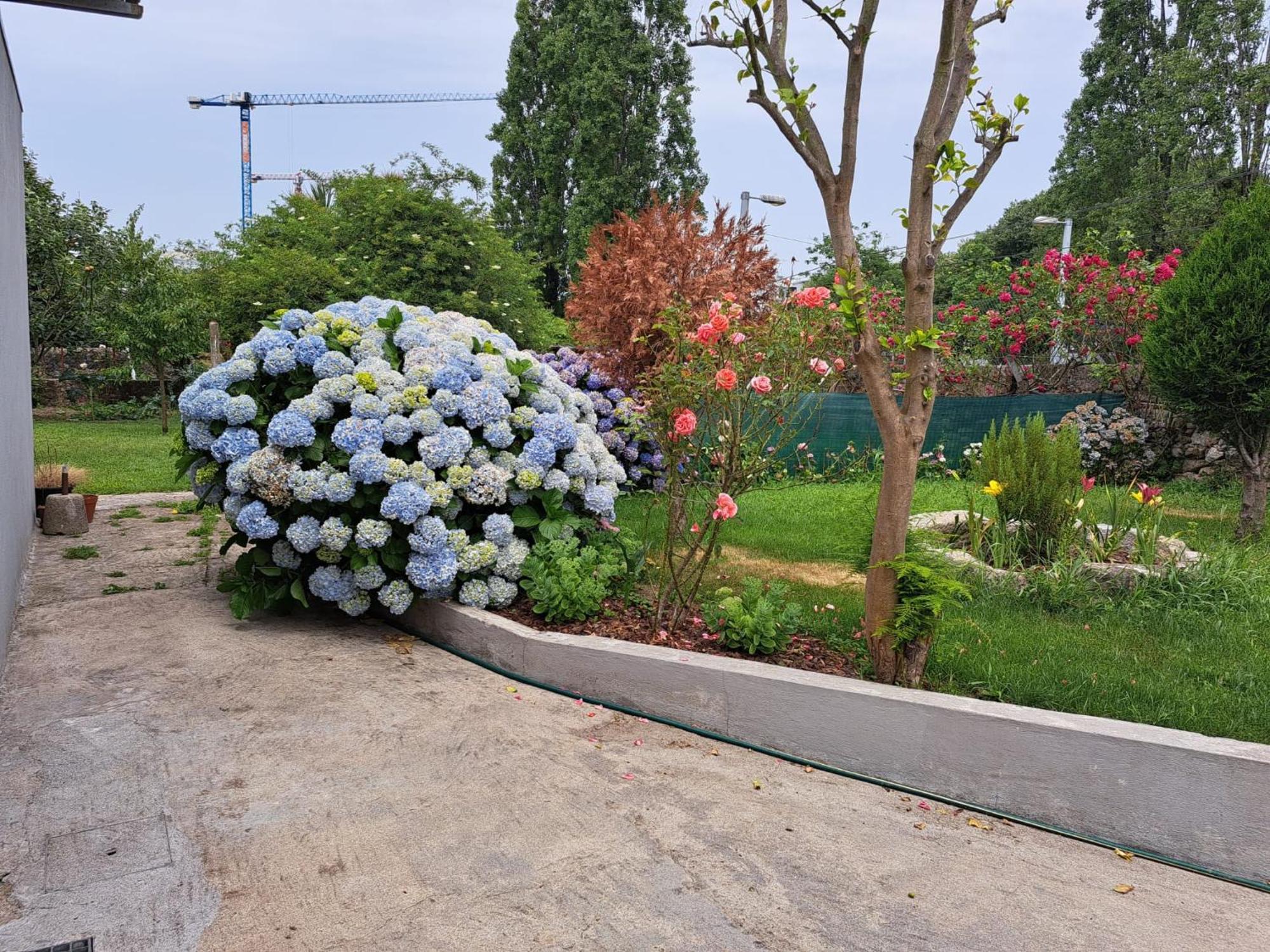Garden House Ramalde Villa Porto Kültér fotó